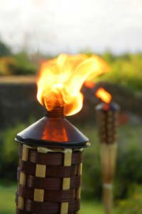 Gas tiki torches provide a great party atmosphere