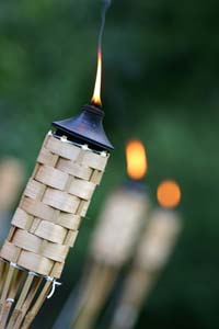 A row of gas tiki torches